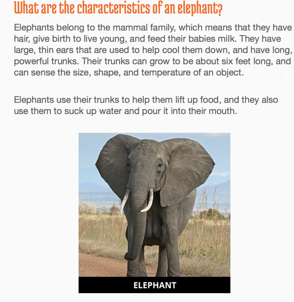 Elephant перевод. Ритуал захоронения у слонов.